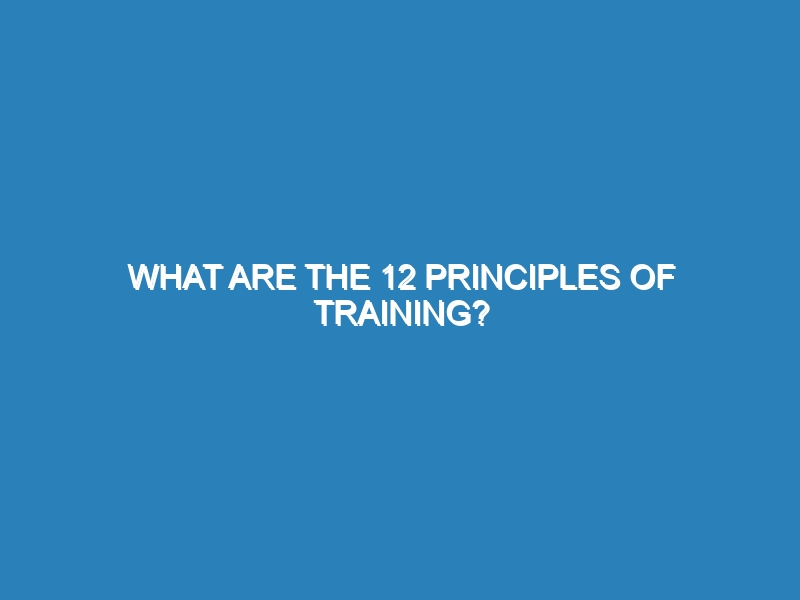 What are the 12 principles of training?