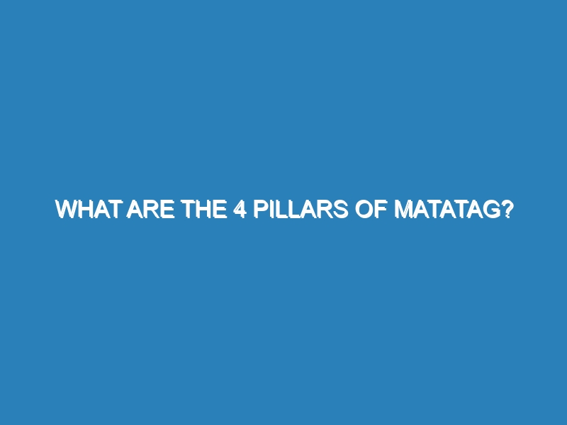 What are the 4 pillars of Matatag?