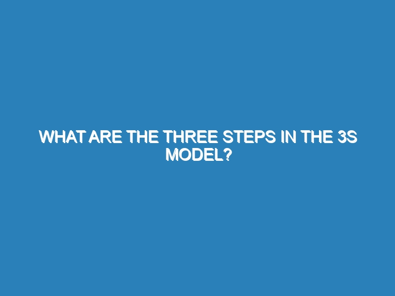 What are the three steps in the 3S model?