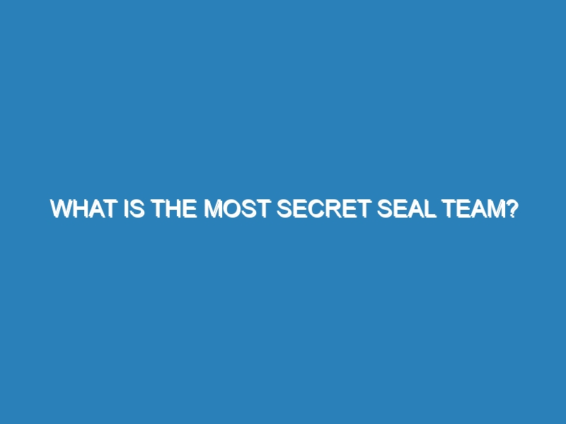 What is the most secret SEAL team?