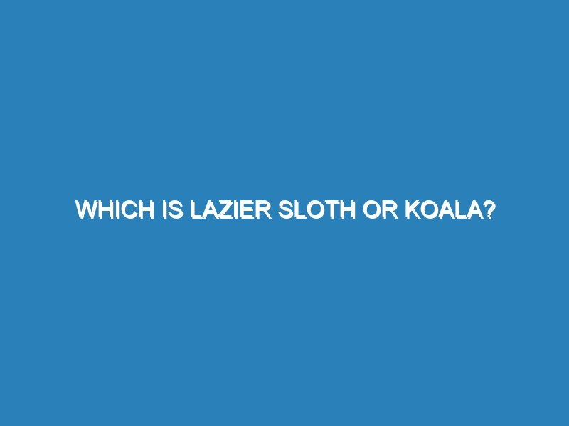 Which is lazier sloth or koala?