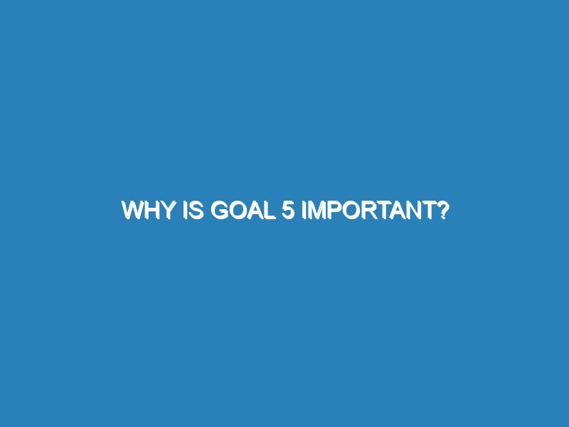 Why is goal 5 important?